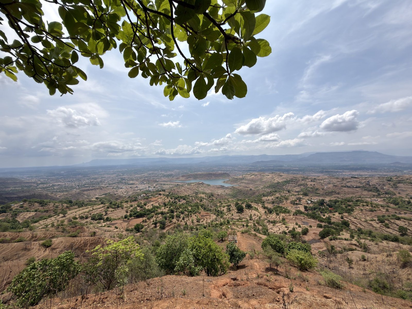 Panoramic view of the valley framed by tree branches