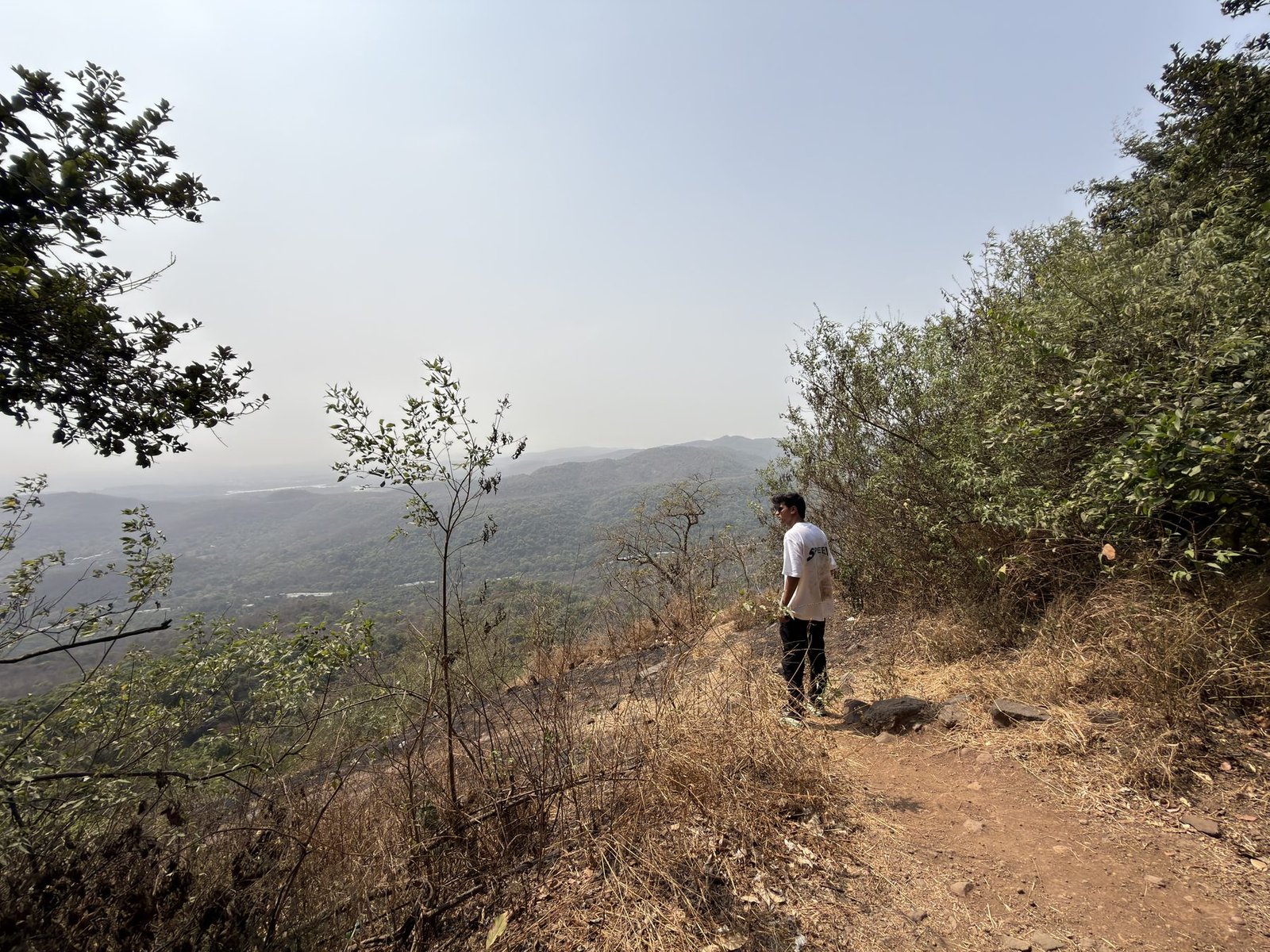 Hiker standing on the open ridge looking across a vast forested valley
