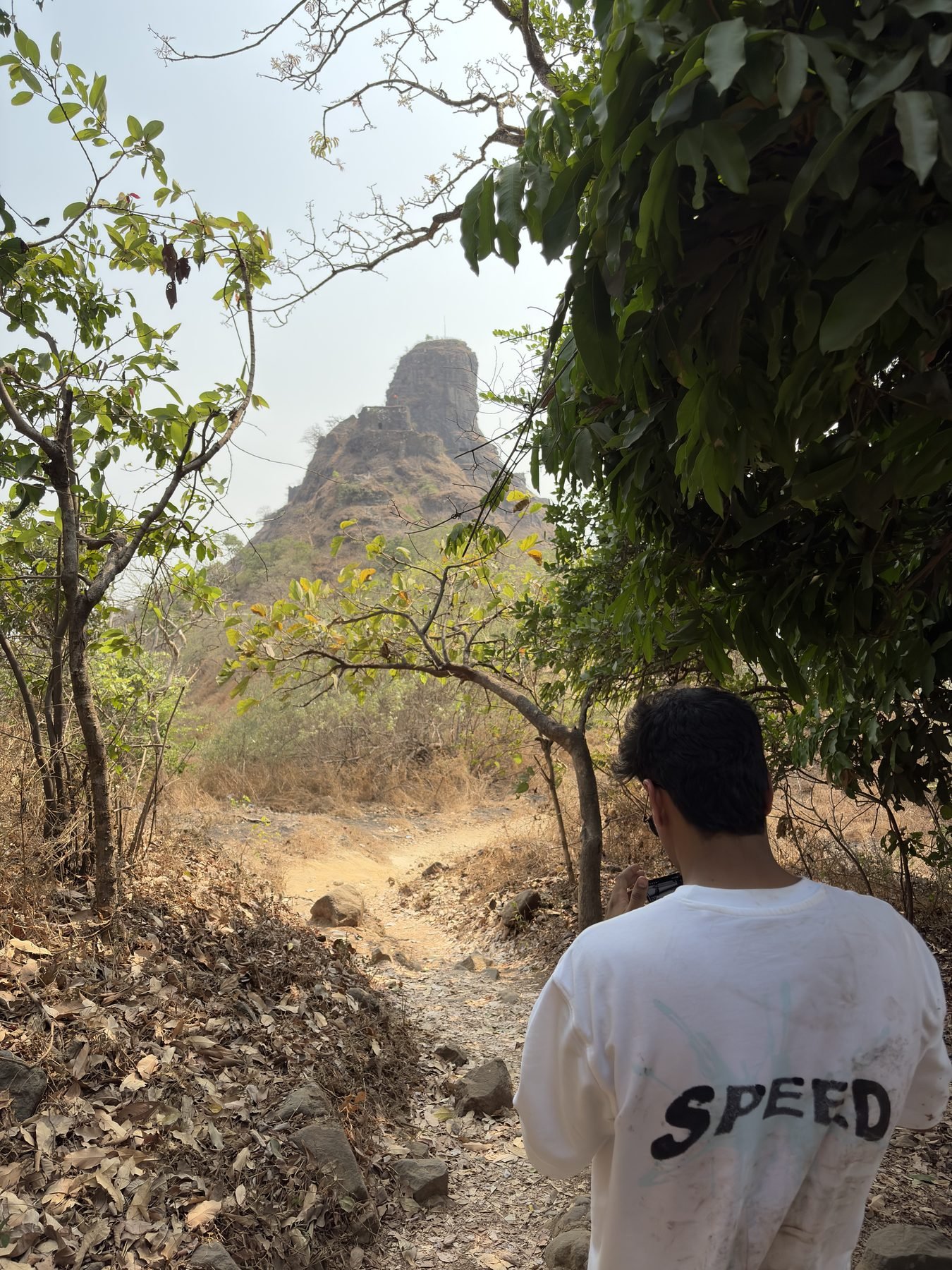 Hiker looking toward the Karnala basalt pinnacle through dry forest